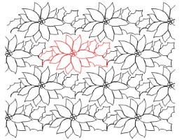 poinsettias